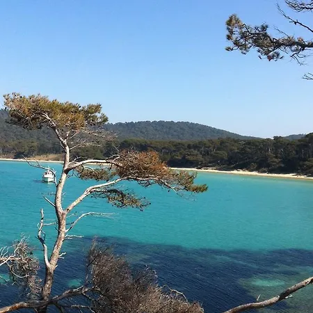 Sunny Island 船上ホテル